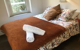 Appartement - Cannes Vieille Ville - Le Suquet